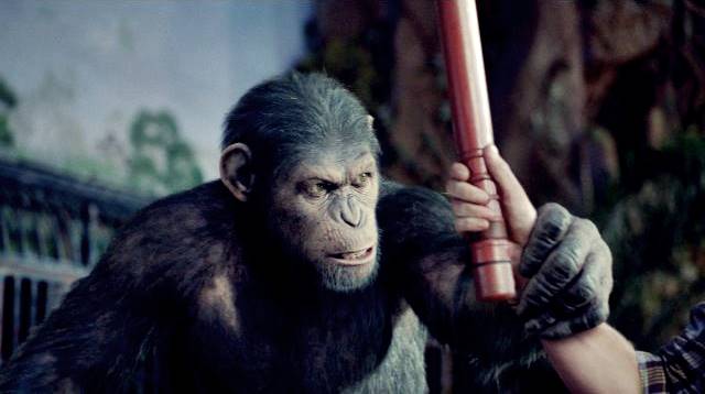 11-aksiyon-rise-of-the-apes-2011-1